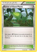 Forest of Giant Plants (074/98) [XY  Ancient Origins] Reverse Holofoil - Uncommon