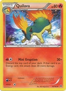 Quilava (019/162) [XY  BREAKthrough] Reverse Holofoil - Uncommon