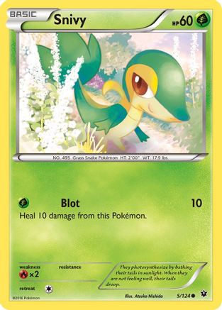 Snivy (005/124) [XY  Fates Collide] Reverse Holofoil - Common