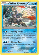 White Kyurem (021/124) [XY  Fates Collide] Holofoil - Holo Rare