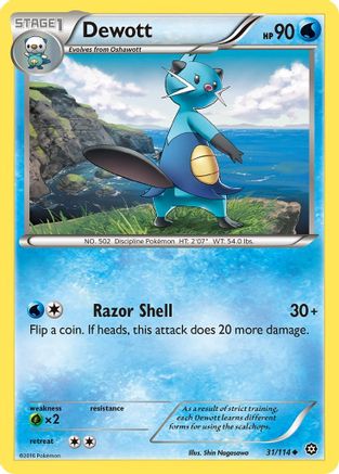 Dewott (031/114) [XY  Steam Siege] Reverse Holofoil - Uncommon