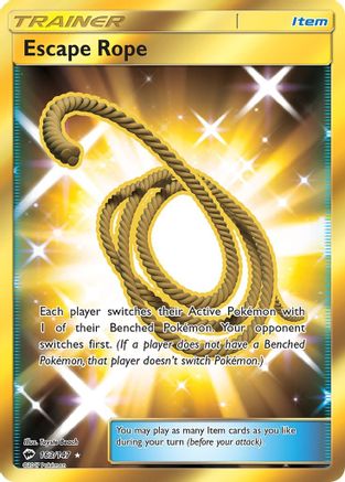 Escape Rope (Secret) (163/147) [SM  Burning Shadows] Holofoil - Secret Rare