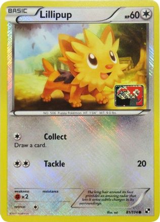 Lillipup (League Promo) (081/114) [League & Championship Cards] Reverse Holofoil - Promo