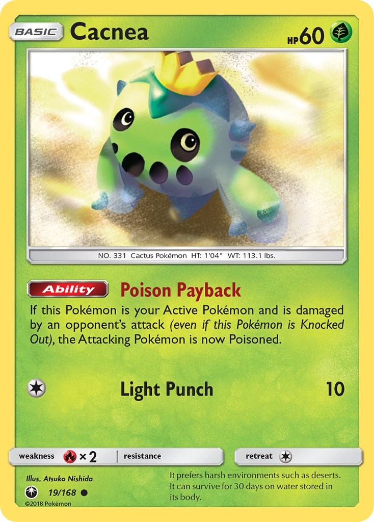 Cacnea [CES - 19/168]