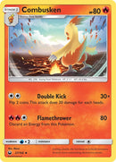 Combusken [CES - 27/168]