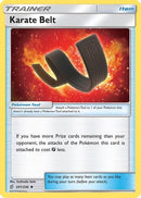 Karate Belt (201/236) [SM  Unified Minds] Reverse Holofoil - Uncommon