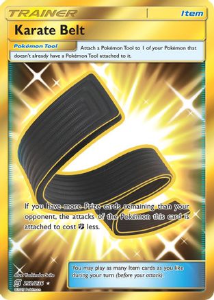 Karate Belt (Secret) (252/236) [SM  Unified Minds] Holofoil - Secret Rare