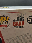 Raj Koothrappali - The Big Bang Theory