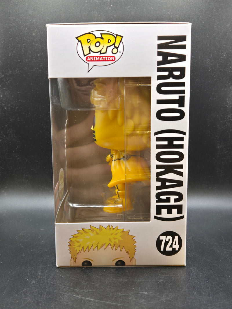 Naruto (Hokage) - Boruto: Naruto Next Generations