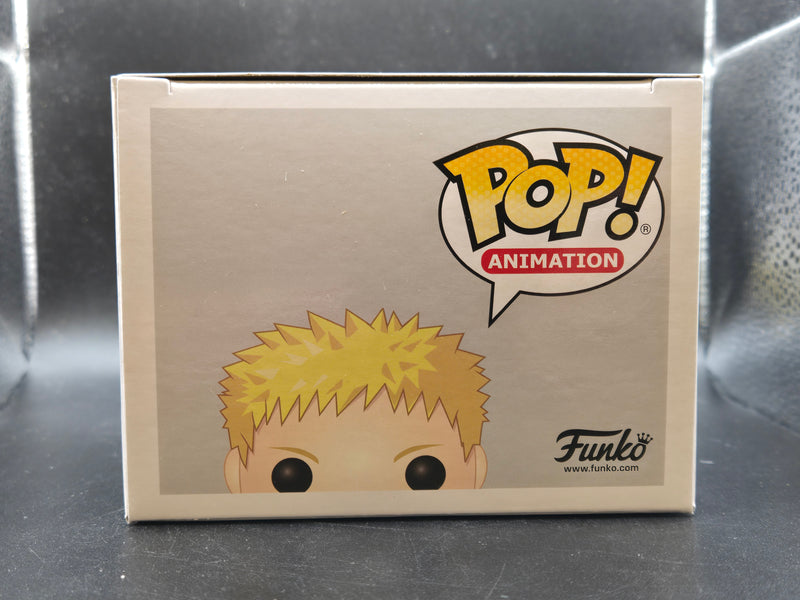 Naruto (Hokage) - Boruto: Naruto Next Generations