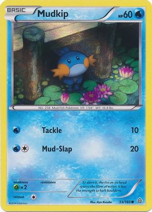 Mudkip (Sheen Holo) (033/160) [Miscellaneous Cards & Products] Holofoil - Promo