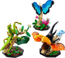 The Insect Collection - Lego Ideas (21342) - NEW