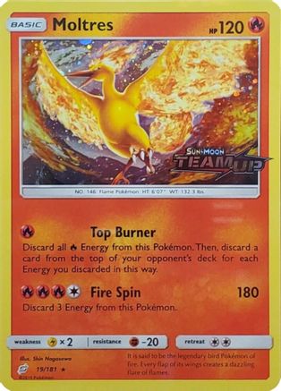 Moltres (Team Up Stamped) (019/181) [Miscellaneous Cards & Products] Holofoil - Promo