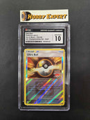 Ultra Ball - North America Championships Staff