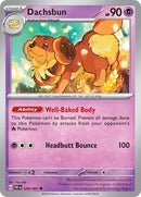 Dachsbun - 039/091 [PAF - 039/091]