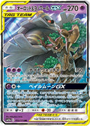Trevenant & Dusknoir GX - 053/173 [SM12a - 053/173]