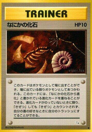 Mysterious Fossil [000]