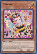 Newbee! [ROTA - ROTA-EN029]