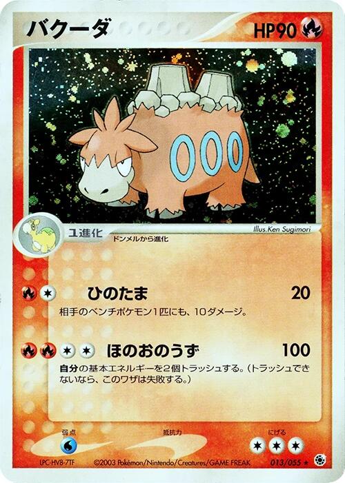 Camerupt [013/055]