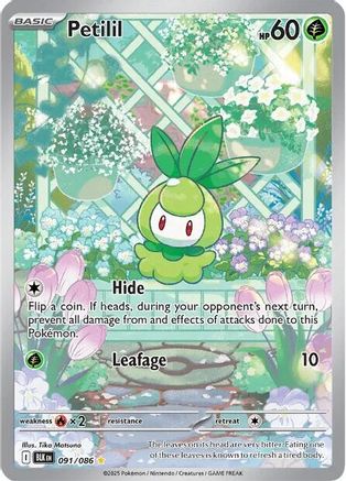 Petilil (091/086) [SV Black Bolt] Holofoil - Illustration Rare