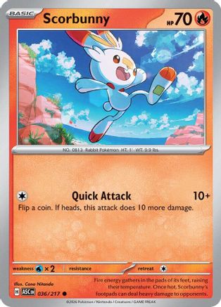 Scorbunny (036/217) [ME Ascended Heroes] Reverse Holofoil - Common