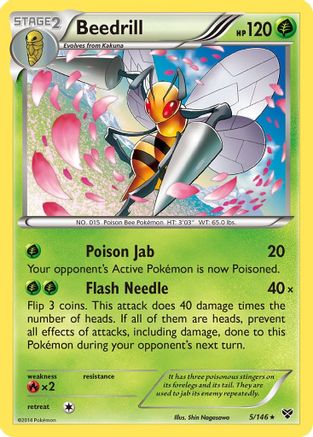 Beedrill (5/146) [XY Base Set] - Rare