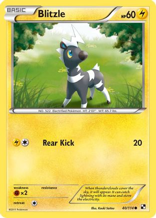 Blitzle (40/114) [Black and White] Reverse Holofoil - Common