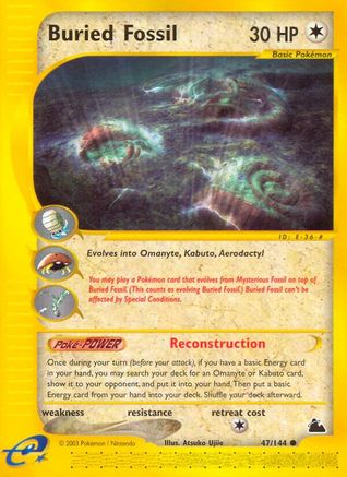 Buried Fossil (47/144) [Skyridge] Reverse Holofoil - Common