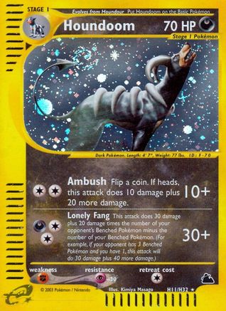 Houndoom (H11) (H11/144) [Skyridge] Holofoil - Holo Rare