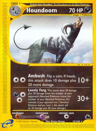 Houndoom (12/144) [Skyridge] - Rare