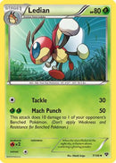 Ledian (7/146) [XY Base Set] - Uncommon