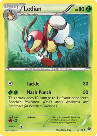 Ledian (7/146) [XY Base Set] - Uncommon