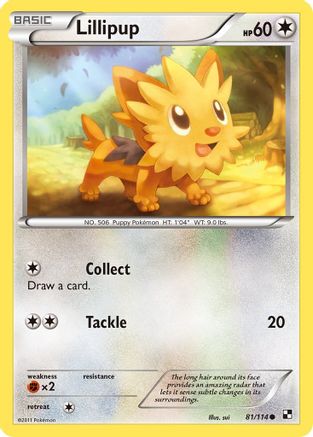 Lillipup (81/114) [Black and White] - Common
