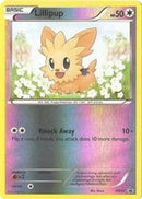 Lillipup - BW52 (BW52/101) [Black and White Promos] Reverse Holofoil - Promo
