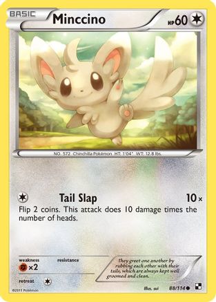 Minccino (088/114) [Black and White] - Common
