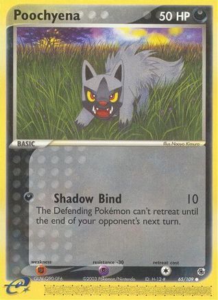 Poochyena (65/109) [Ruby and Sapphire] Reverse Holofoil - Common