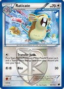 Raticate (Team Plasma) (088/116) [Plasma Freeze] - Rare