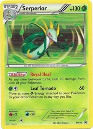 Serperior - BW20 (BW20/101) [Black and White Promos] Holofoil - Promo
