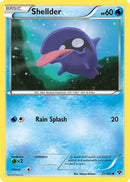 Shellder (31/146) [XY Base Set] Reverse Holofoil - Common