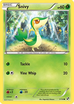 Snivy (001/114) [Black and White] Reverse Holofoil - Common