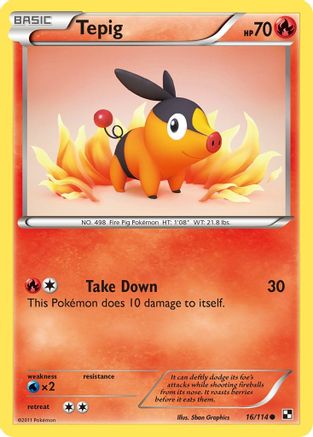 Tepig (16/114) [Black and White] - Common