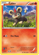 Litleo (019/106) [XY  Flashfire] - Common
