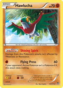 Hawlucha (063/111) [XY  Furious Fists] Holofoil - Holo Rare