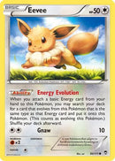 Eevee (080/111) [XY  Furious Fists] - Common