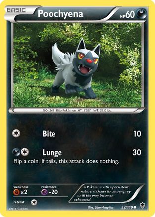 Poochyena (053/119) [XY  Phantom Forces] Reverse Holofoil - Common