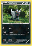 Poochyena (053/119) [XY  Phantom Forces] - Common