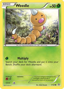 Weedle (1/160) [XY  Primal Clash] Reverse Holofoil - Common