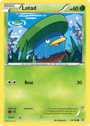 Lotad (010/160) [XY  Primal Clash] Reverse Holofoil - Common