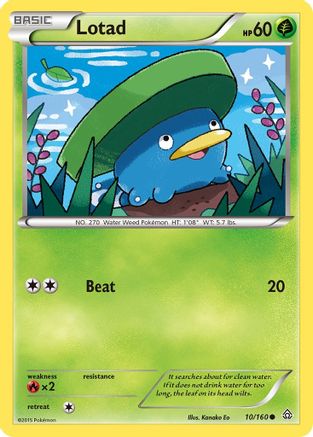 Lotad (010/160) [XY  Primal Clash] Reverse Holofoil - Common
