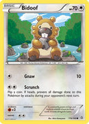 Bidoof (116/160) [XY  Primal Clash] - Common